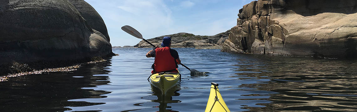 Bilde av mann som padler kajakk i Vestfold-skjærgården.