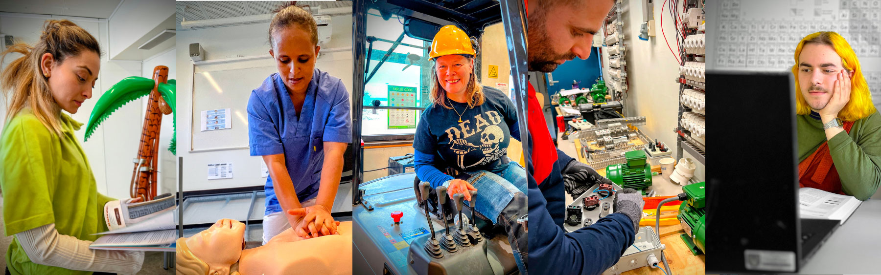 Elever i ulike studieprogram