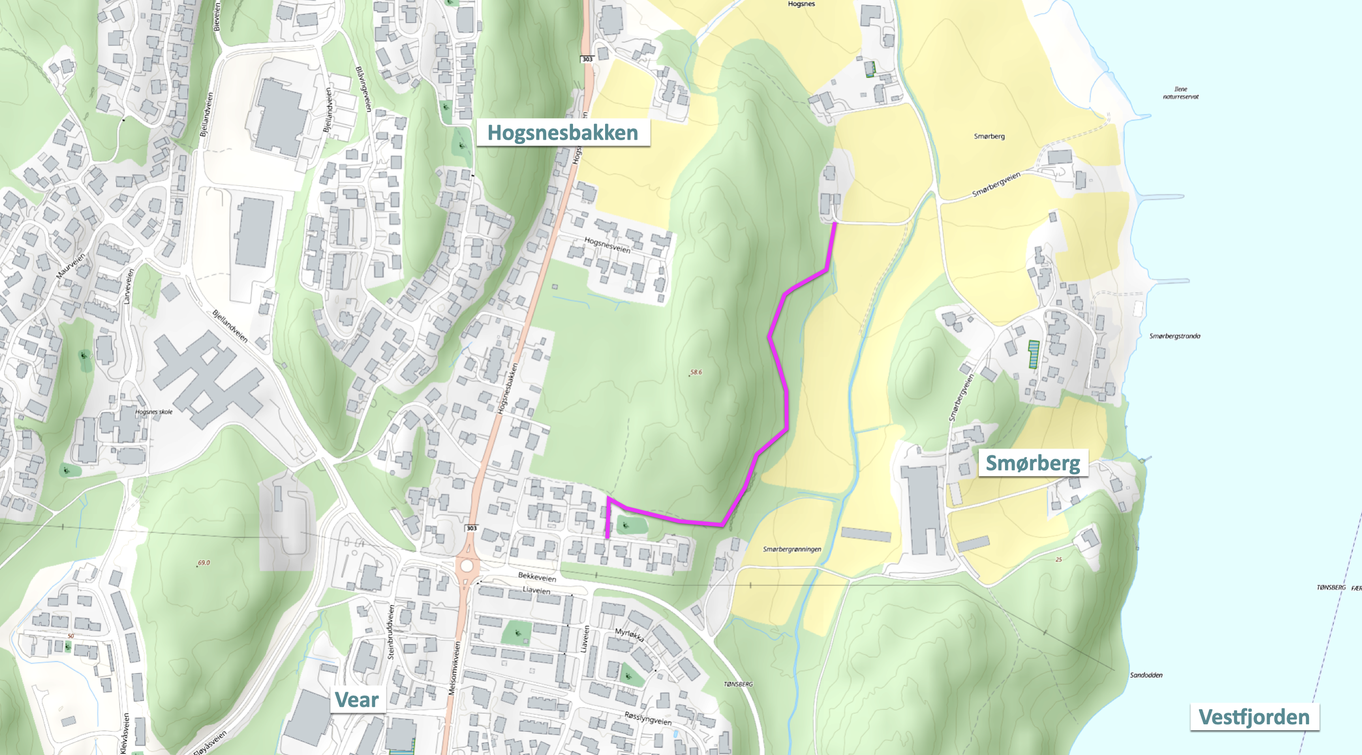 Kart med tegnet inn rosa strek som viser skogsti i Hogsnesåsen