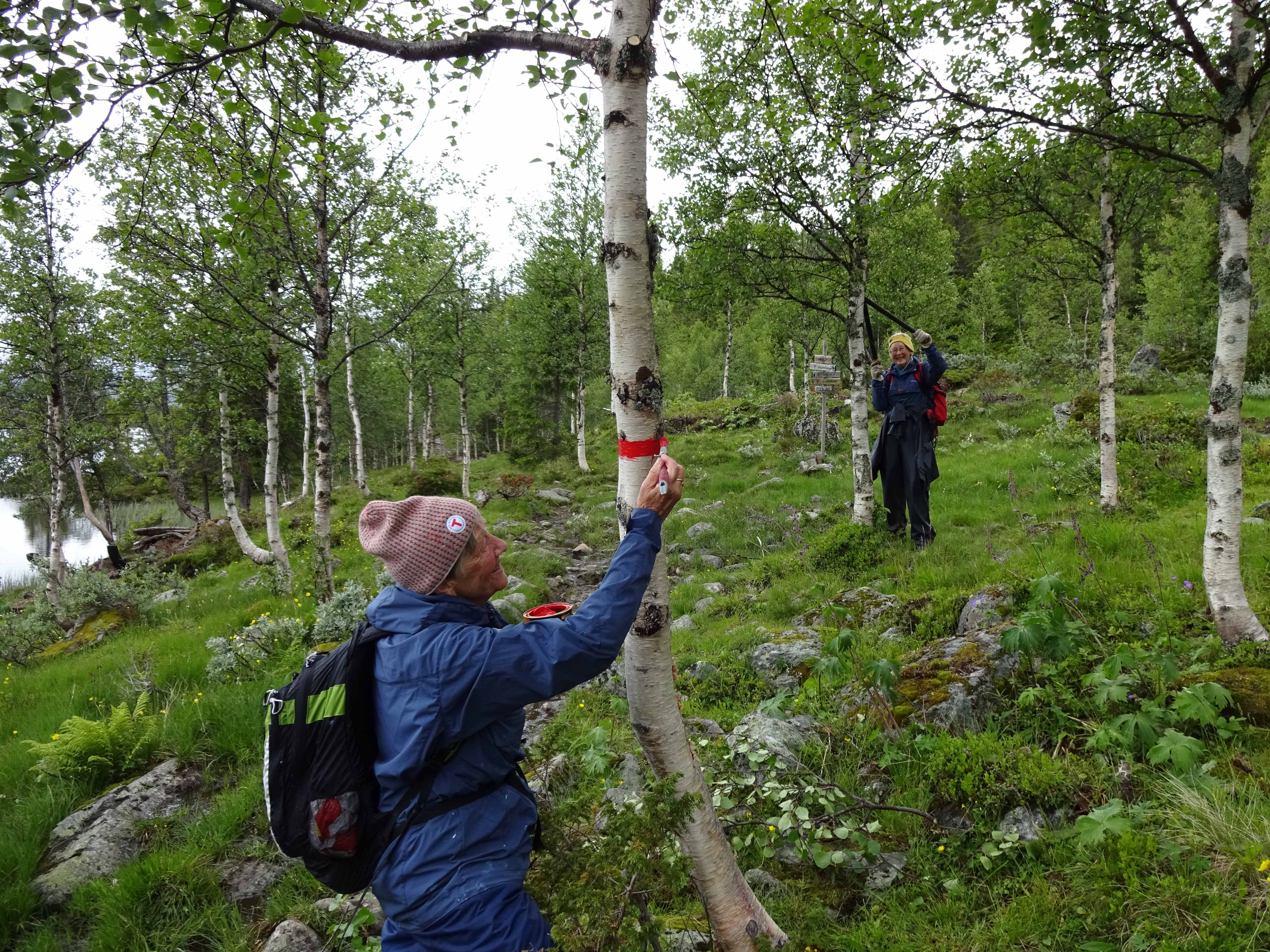 Bilde av frivillig innsats