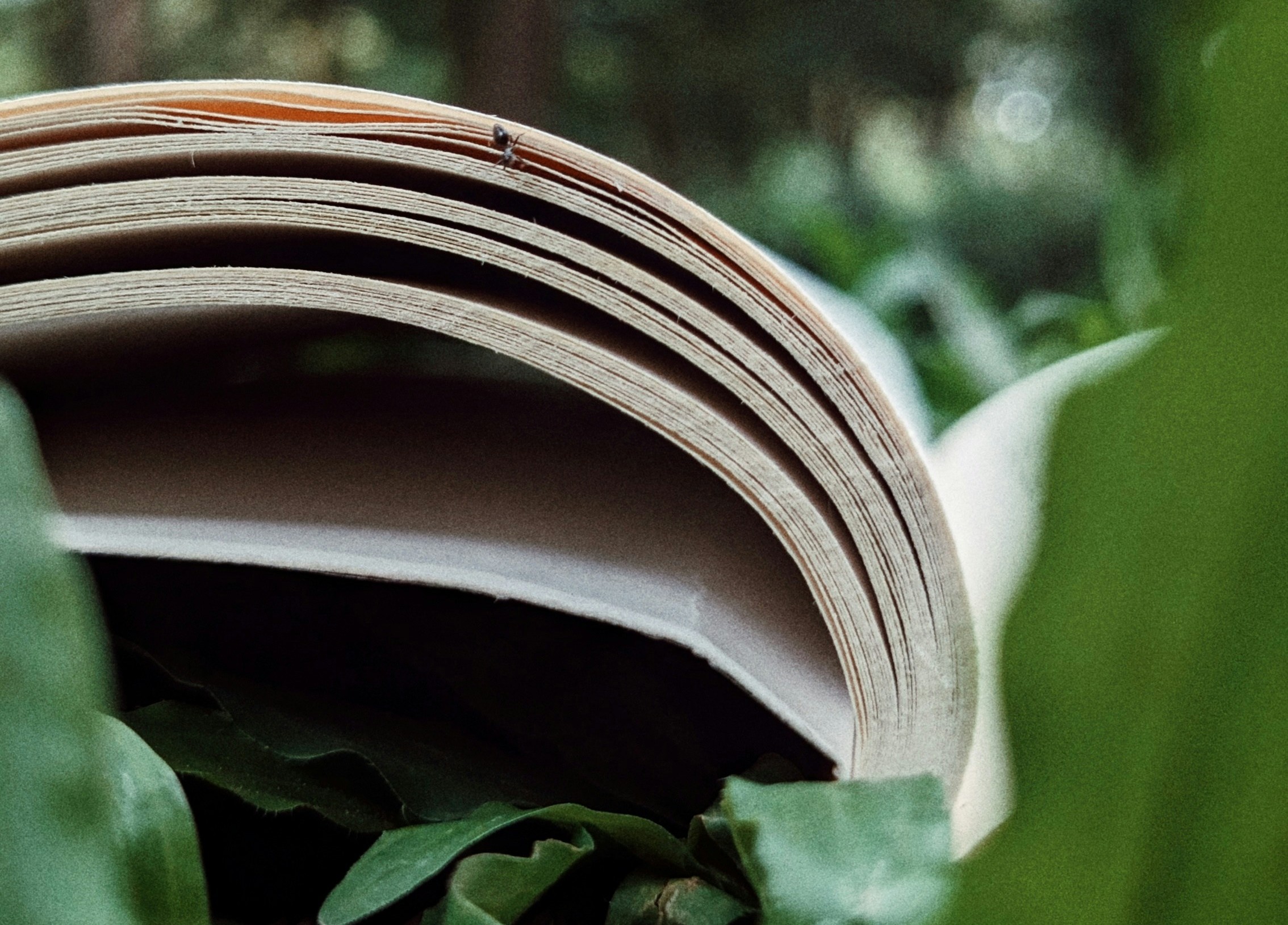 Åpen bok i grønne omgivelser