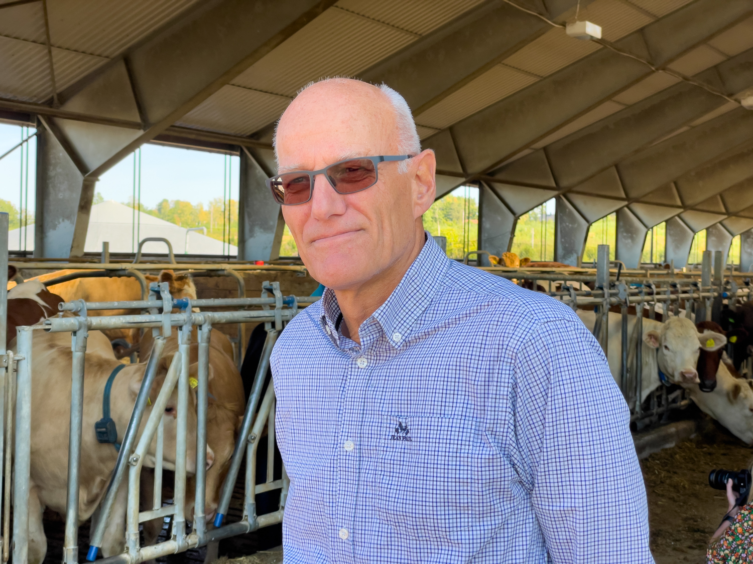 Fylkesdirektøren i fjøset