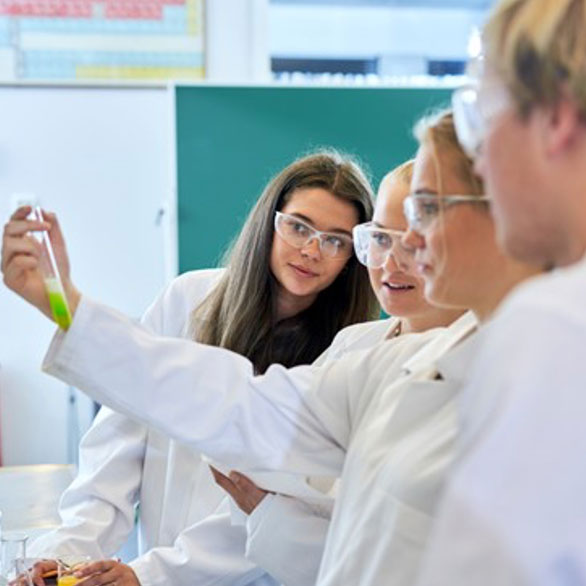 Foto av Semslinna og fylkesvei 300 sett fra Sem med Kjellelia i bakgrunnen