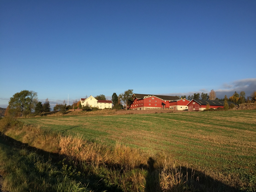 En bondegård med jorder foran