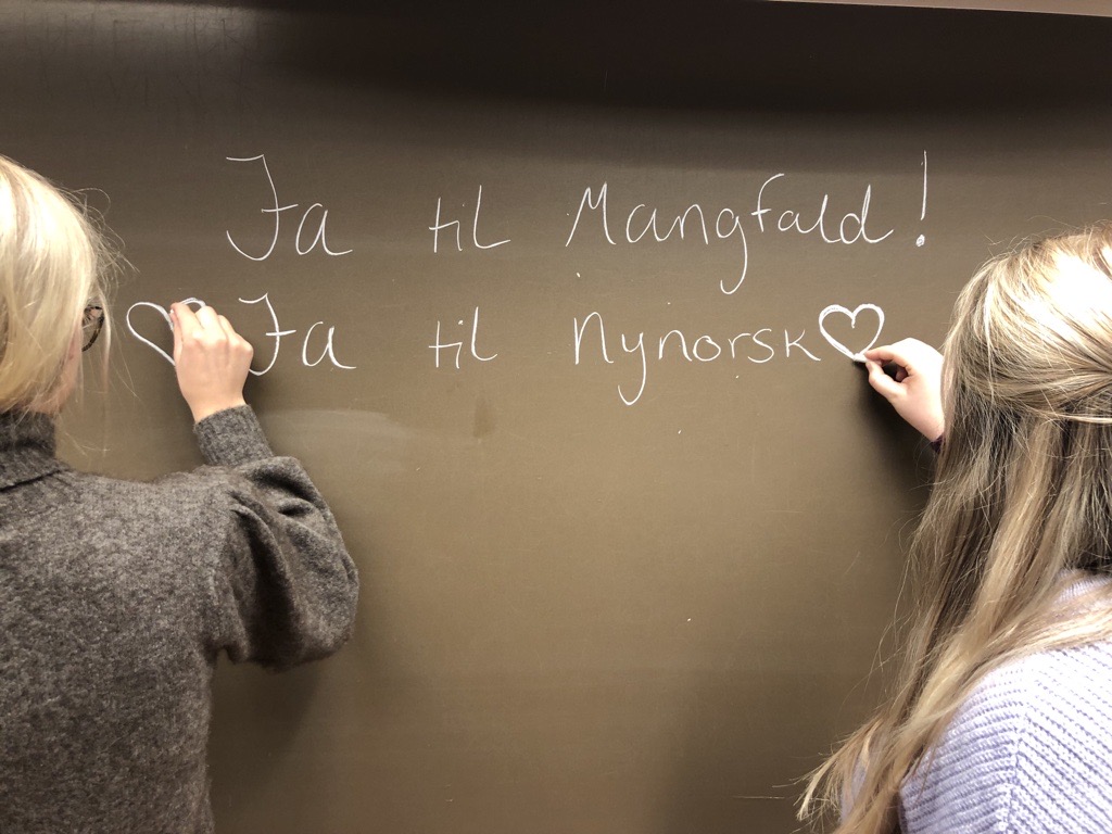 Nynorsk er hovudmålet for elevane ved Vest-Telemark vidaregåande skule.