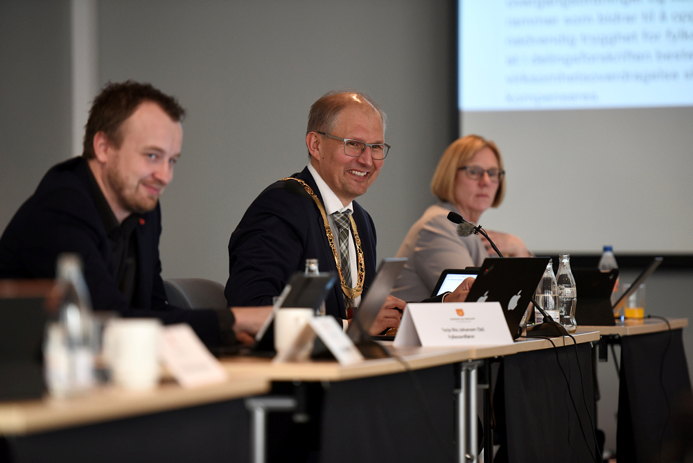 Panelet i fylkestinget