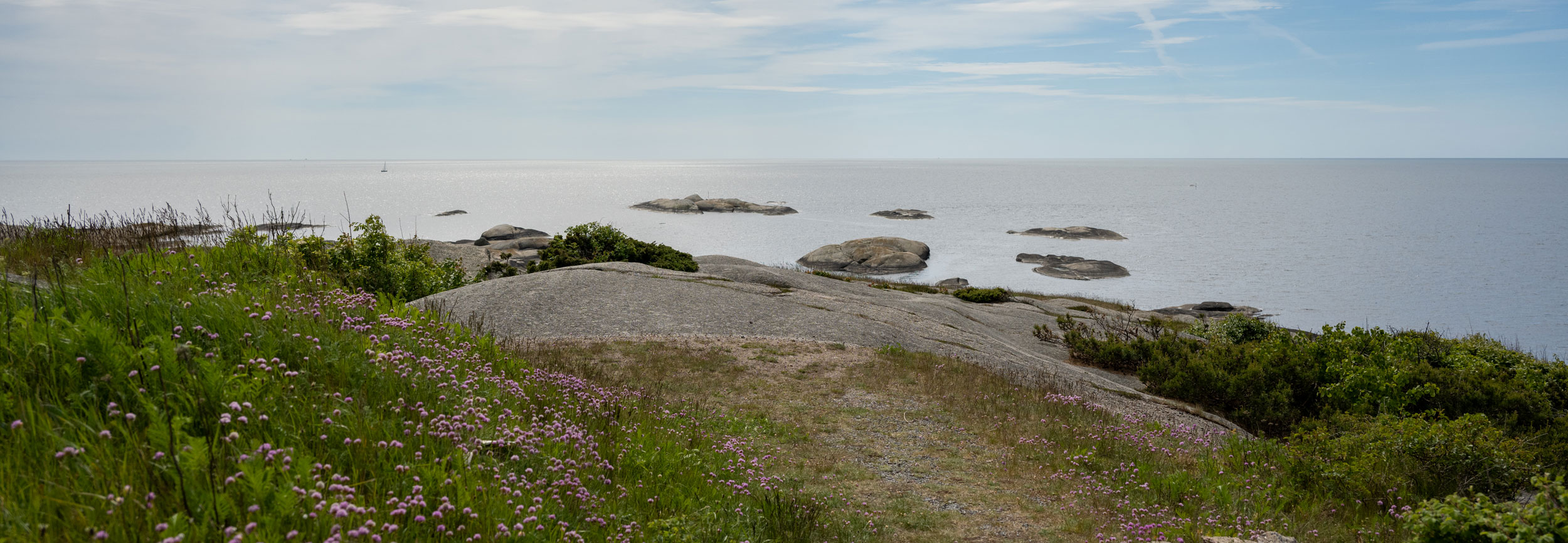 Bilde av kystlandskap