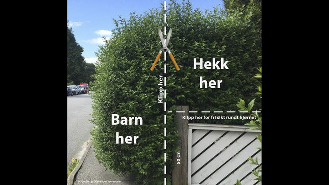 Viser hekk, og hvor man bør klippe for å gi fri sikt til barn som beveger seg på fortau.