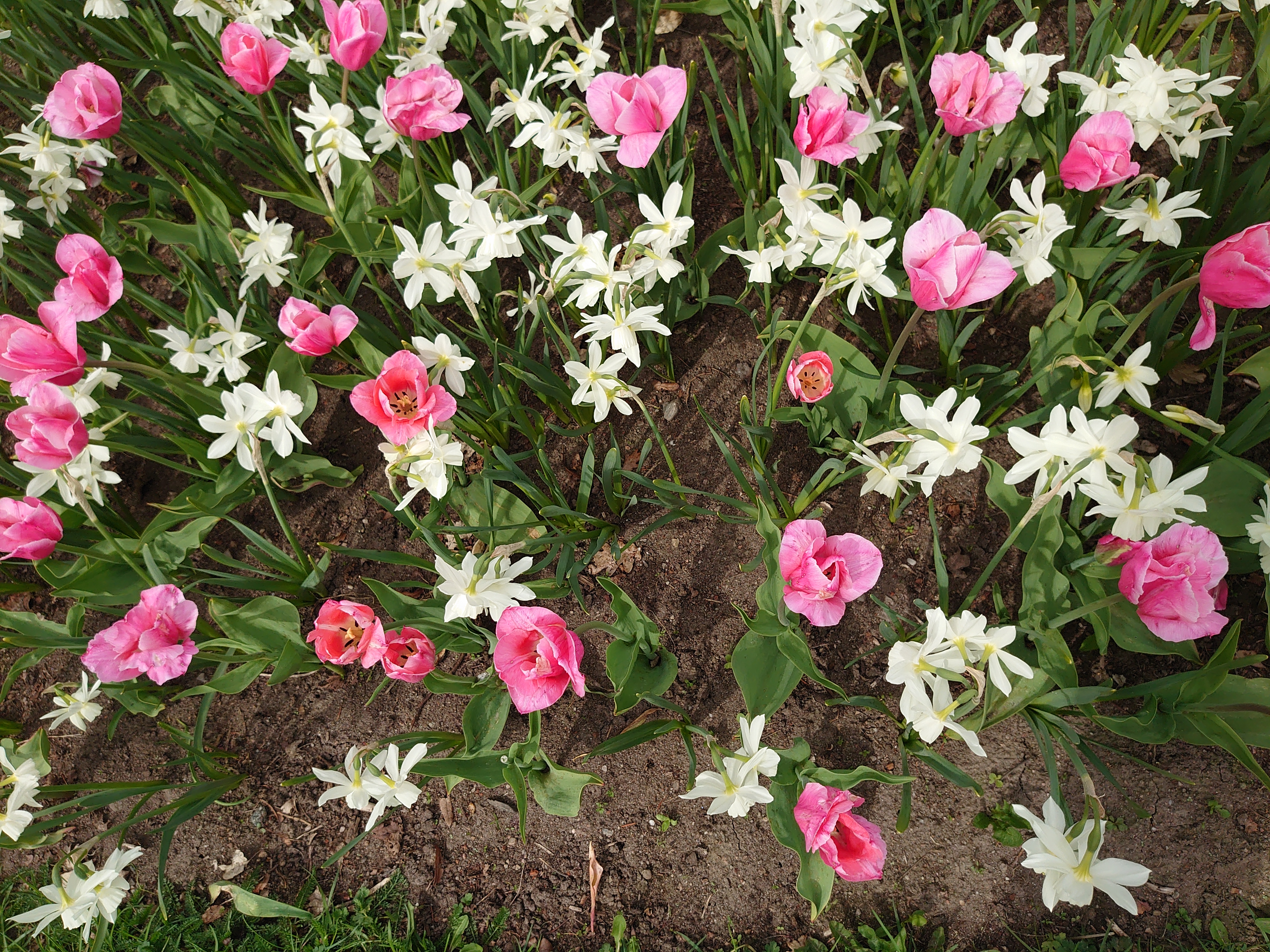 Blomster