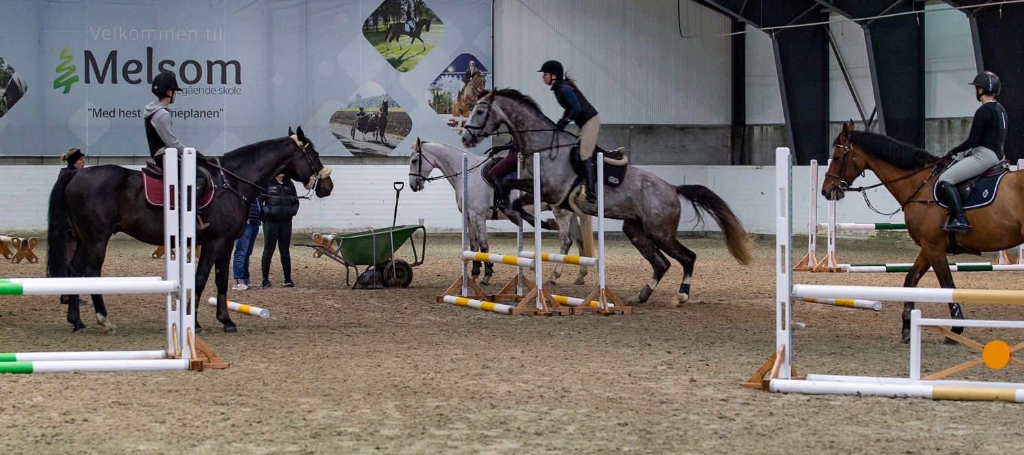 Elever på hestene sine i ridehallen. Noen hopper andre står stille