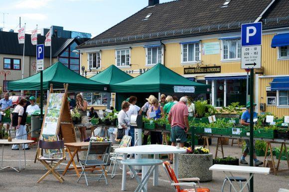 Foto fra Teie torv med personer som handler i torgbodene