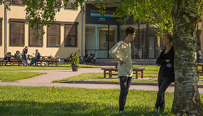 To ungdommer står og prater sammen under et tre foran skolen
