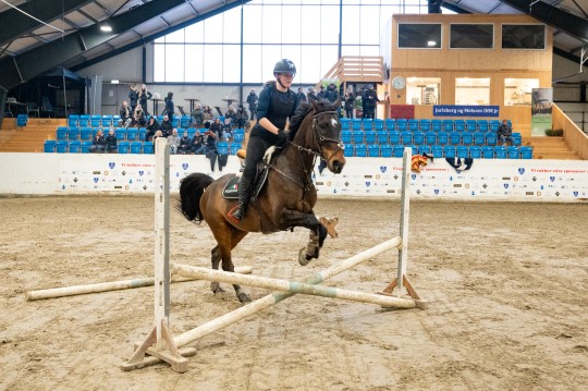 Hest med rytter i farta, i en ridehall