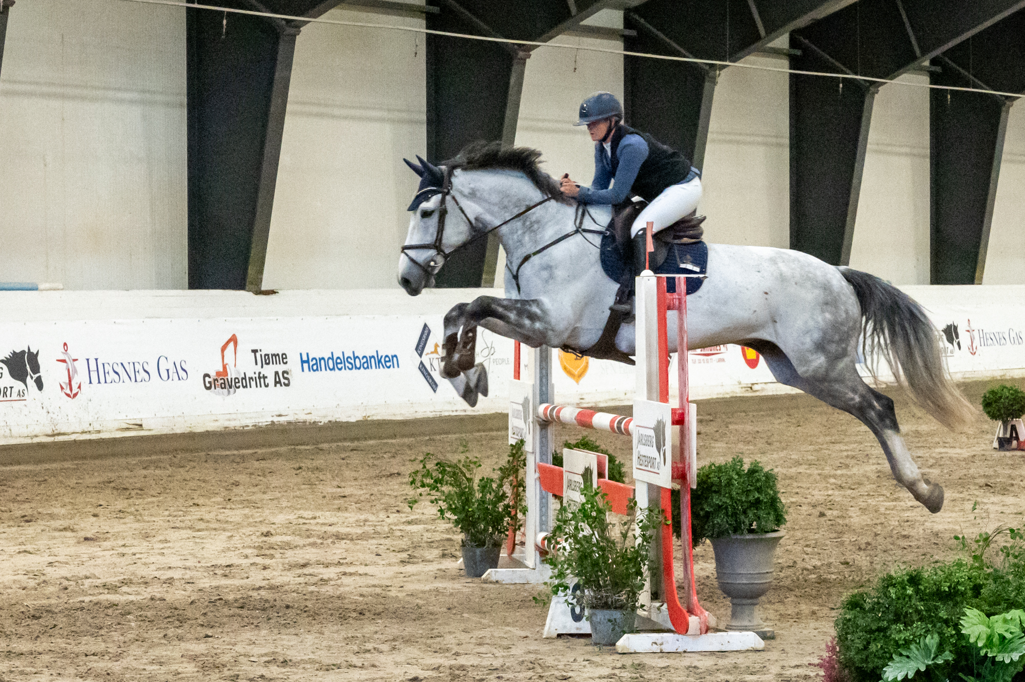 Hest med rytter hopper over hinder i ridehall