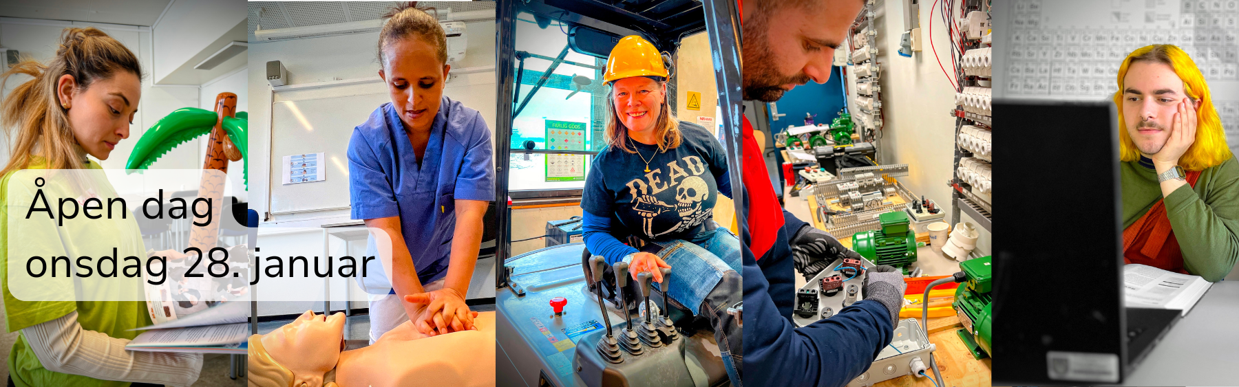 Elever i ulike studieprogram