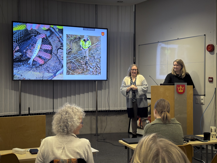 Rådgiverne Helene Nødtvedt Røed og Kristina Ellwodd fra Samferdsel viser fram hvordan EL-fiske fungerer. Metoden brukes for å registrere om fisk kommer til og fra gyteområder